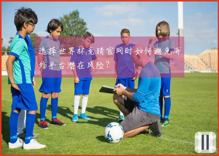 选择世界杯竞猜官网时如何避免海外平台潜在风险？