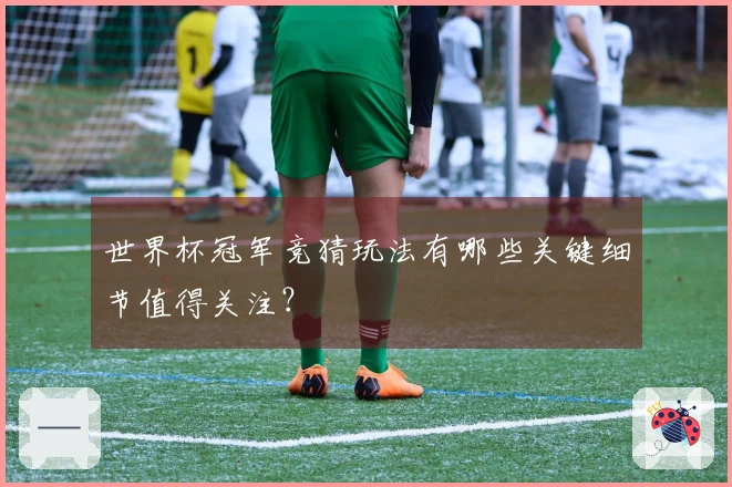 世界杯冠军竞猜玩法有哪些关键细节值得关注？